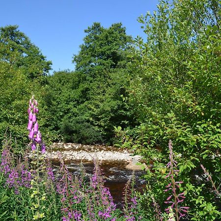 Battanropie Lodge Carrbridge Εξωτερικό φωτογραφία